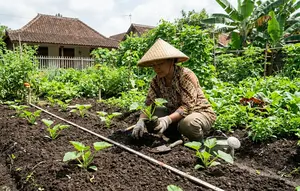 7 Cara Menanam Zucchini di Pekarangan dengan Jarak Tanam yang Tepat, Biar Subur dan Cepat Berbuah