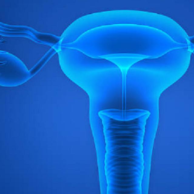 Fungsi Ovarium Pada Wanita Penting Dalam Reproduksi Hot Liputan6 Com