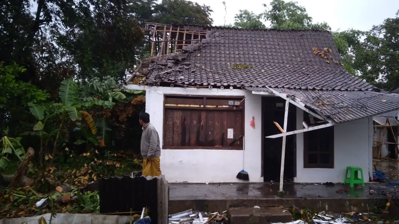 Puting Beliung Kembali Terjang Jember