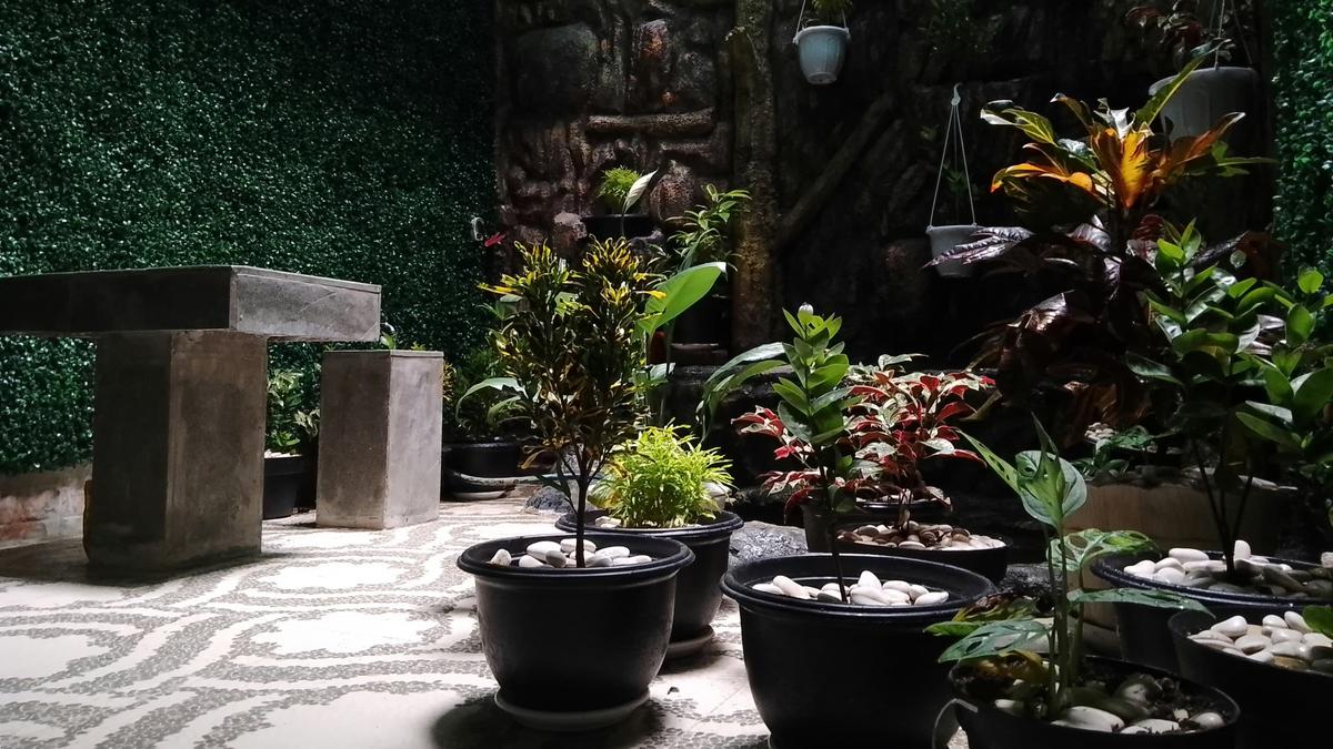 5 Teknik Praktis Menanam Sayur di Kebun Mini, Panen Maksimal di Lahan Sempit