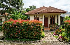 Tanaman Pagar Hidup Anti Retak untuk Rumah Kecil/Gemini