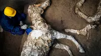 Seorang arkeolog memeriksa sisa-sisa kerangka kuda di situs arkeologi Pompeii, Italia, Minggu, 23 Desember 2018. (Cesare Abbate/ANSA Via AP) (Associated Press)