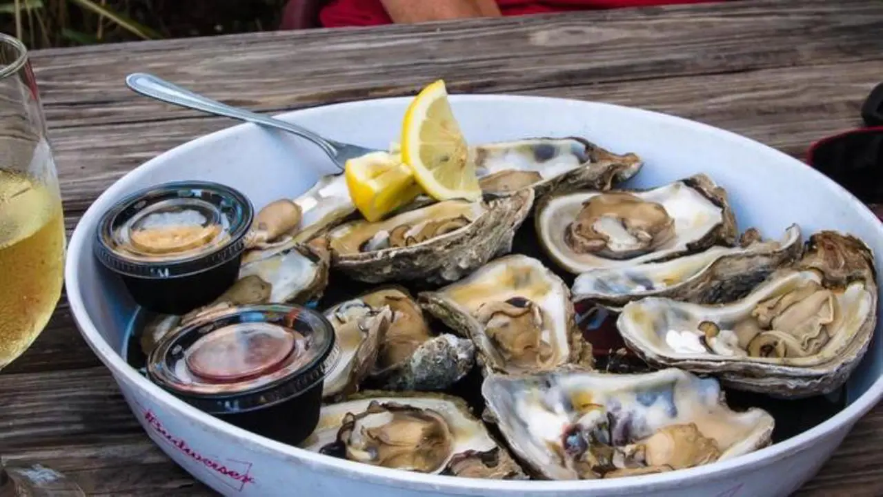 7 Jenis Kerang Wajib Icip Pecinta Seafood, Kamu Suka yang Mana?