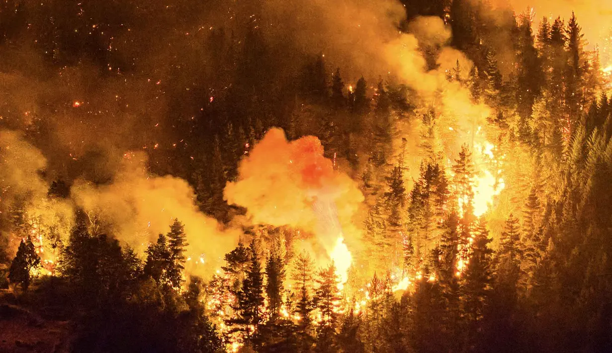 Upaya pemadaman menghadapi tantangan berat mengingat luasnya area yang terbakar. Tampak dalam foto, kobaran api menghanguskan kawasan hutan di Gunung Pirque, El Hoyo, wilayah Patagonia provinsi Chubut, Argentina pada 7 Januari 2026. (Martin LEVICOY/AFP)