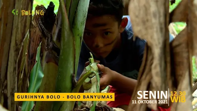 Si Bolang Trans7