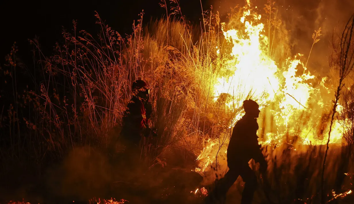 Beberapa negara Eropa lainnya juga dilanda gelombang panas ekstrem yang mengakibatkan kebakaran hutan. (PATRICIA DE MELO MOREIRA/AFP)