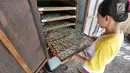 Pekerja memasukkan cicak ke dalam oven di rumah industri kawasan Cirebon, Jawa Barat, Selasa (2/4). Cicak kering ini dijual dengan harga Rp 250 ribu per kilogram. (Liputan6.com/Herman Zakharia)
