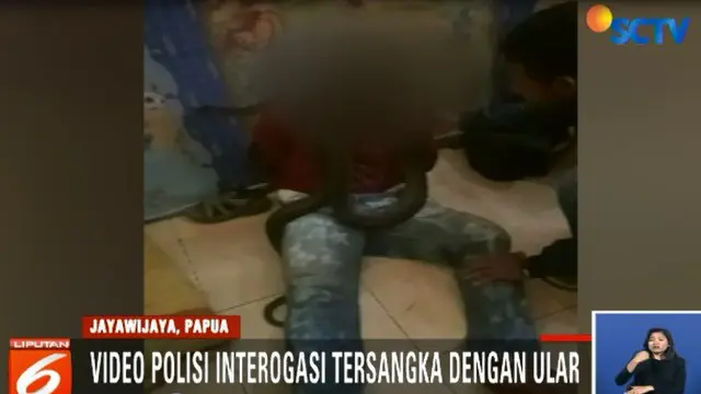 Viral, Polisi di Papua Interogasi Pelaku Jambret Gunakan Ular