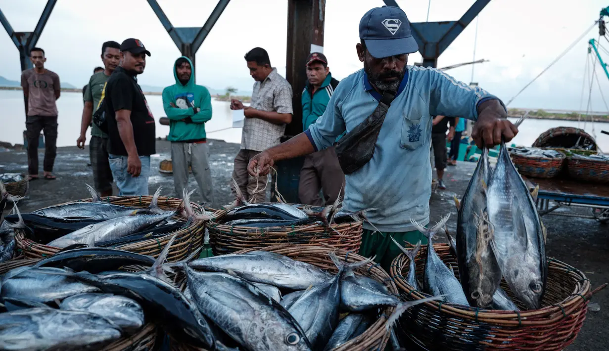 Sejak tiga hari terakhir, harga ikan segar di sejumlah pasar di Banda Aceh mengalami kenaikan. (Yasuyoshi CHIBA/AFP)