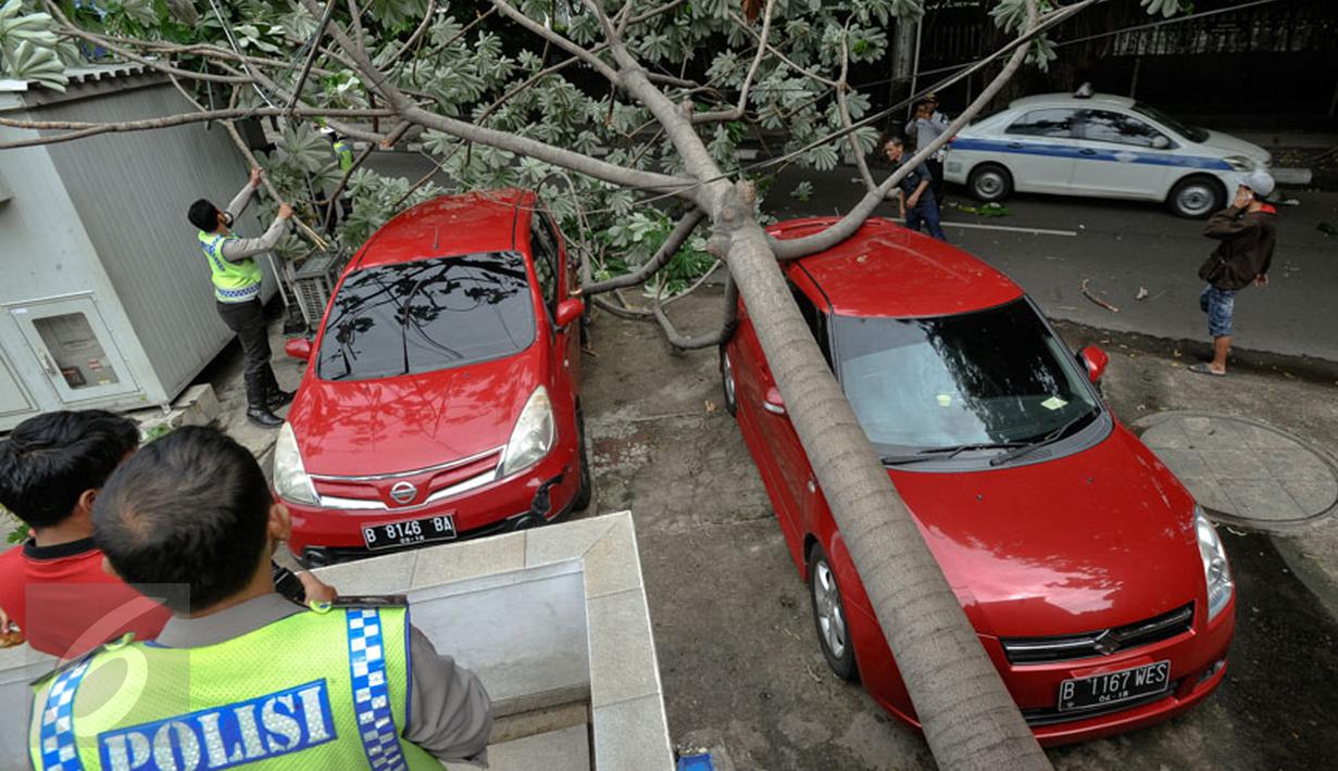 Dua mobil yang tengah terparkir tertimpa pohon tumbang di sebelah Pos Polisi Bundaran HI, Jakarta, Selasa (15/12). Tak ada korban jiwa akibat tumbangnya pohon yang disebabkan angin kencang tersebut. (Liputan6.com/Faizal Fanani)