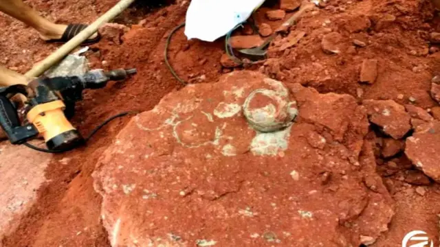 Asyik Main Tanah, Bocah Malah Temukan Telur Dinosaurus
