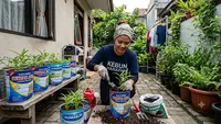 Cara Menanam Kangkung di Toples Bekas Susu Bubuk, Hemat dan Ramah Lingkungan
