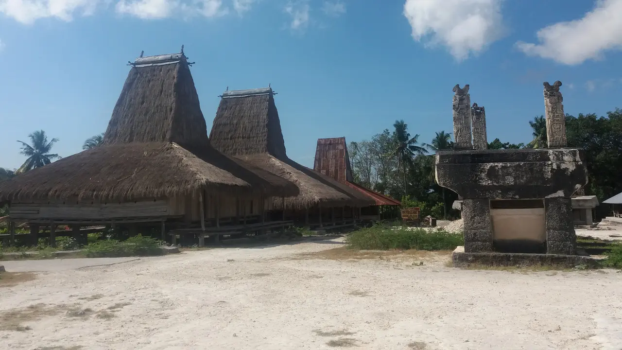 Kisah Tongkat Kepala Emas dan 8 Rumah Induk Warga Sumba 