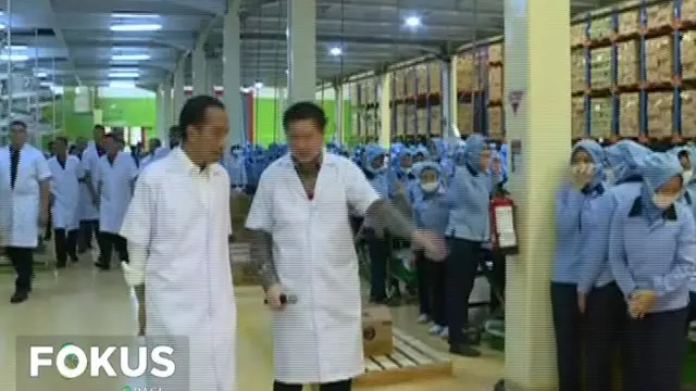 Jokowi Lepas Kontainer Ekspor Produk PT Mayora ke 100 Negara di Dunia