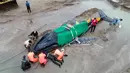 Anggota Prefektur Angkatan Laut Argentina dan para sukarelawan berusaha menyelamatkan seekor paus bungkuk yang terdampar di Mar del Plata, Argentina (9/4). (AP / Pablo Hugo Funes)