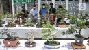 Pengunjung melihat koleksi pohon bonsai yang dipamerkan dalam acara Jengbreng BSC di kawasan Sawangan, Depok, Jawa Barat, Minggu (6/3/2022). Pameran digelar dalam rangka menjalin silaturahmi bagi pecinta bonsai sekaligus mengedukasi masyarakat tentang seni bonsai. (merdeka.com/Iqbal S. Nugroho)