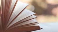Ilustrasi buku, behaviorisme. (Gambar oleh Pexels dari Pixabay)