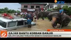 Bencana banjir tengah melanda sebagian wilayah selatan Nepal, Bangladesh serta di utara India.