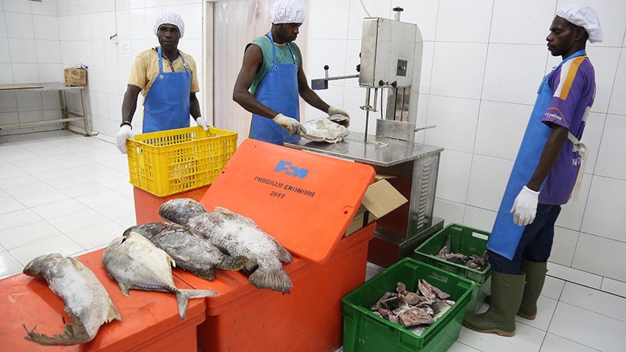 Industri perikanan di Papua. Dok Freeport