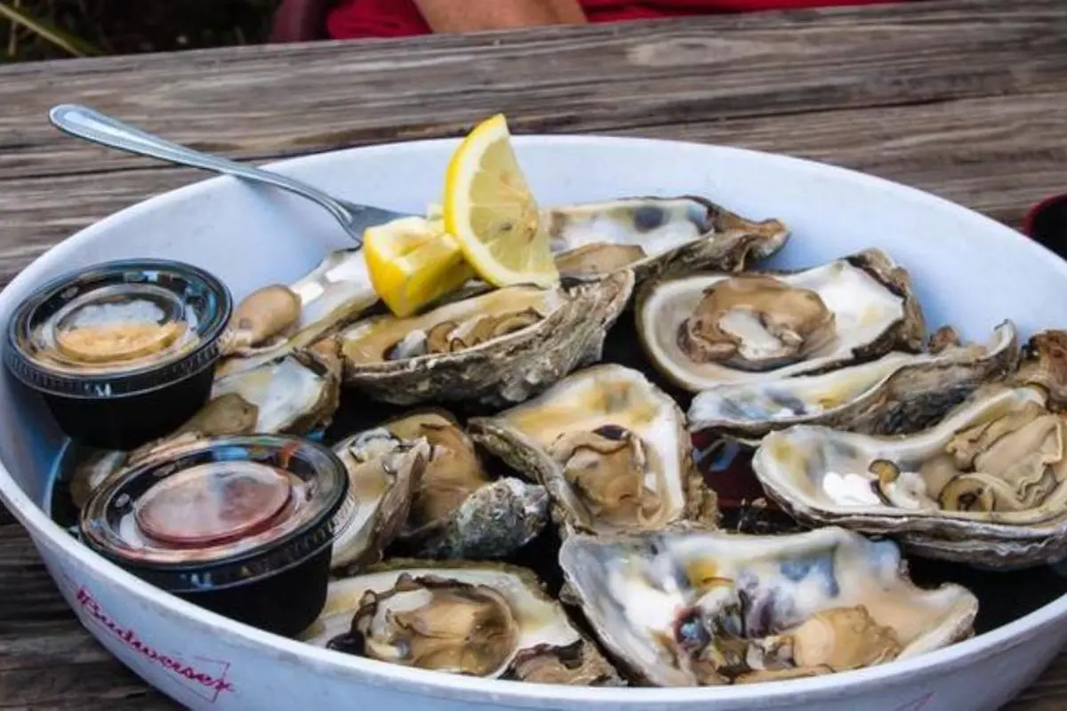 7 Jenis Kerang Wajib Icip Pecinta Seafood, Kamu Suka yang Mana?