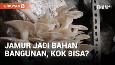 Para petani di Namibia menebang banyak pohon akasia yang invasif untuk membuka padang rumput bagi ternak mereka. Kini sebuah perusahaan memanfaatkan substrat pohon-pohon yang ditebang itu beserta jamur miselium untuk membuat batu bata yang sangat kua...