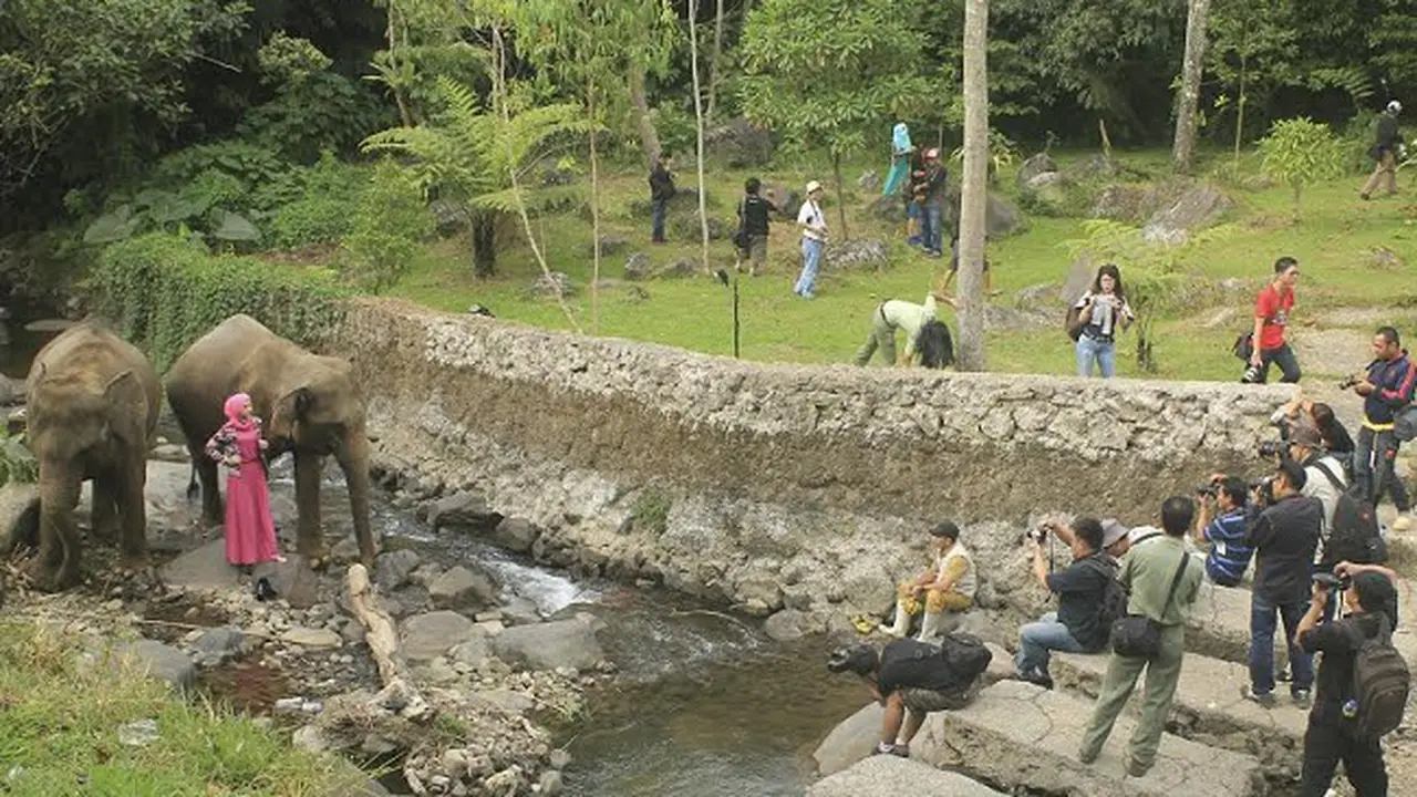 Taman Safari Indonesia