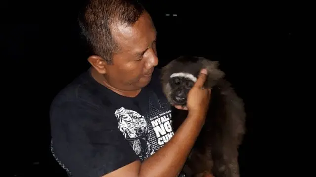 Owa yang berhasil diselamatkan. (Foto: Liputan6.com/BKSDA/Muhamad Ridlo)