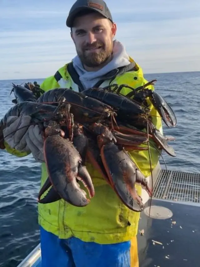 Lobster biru