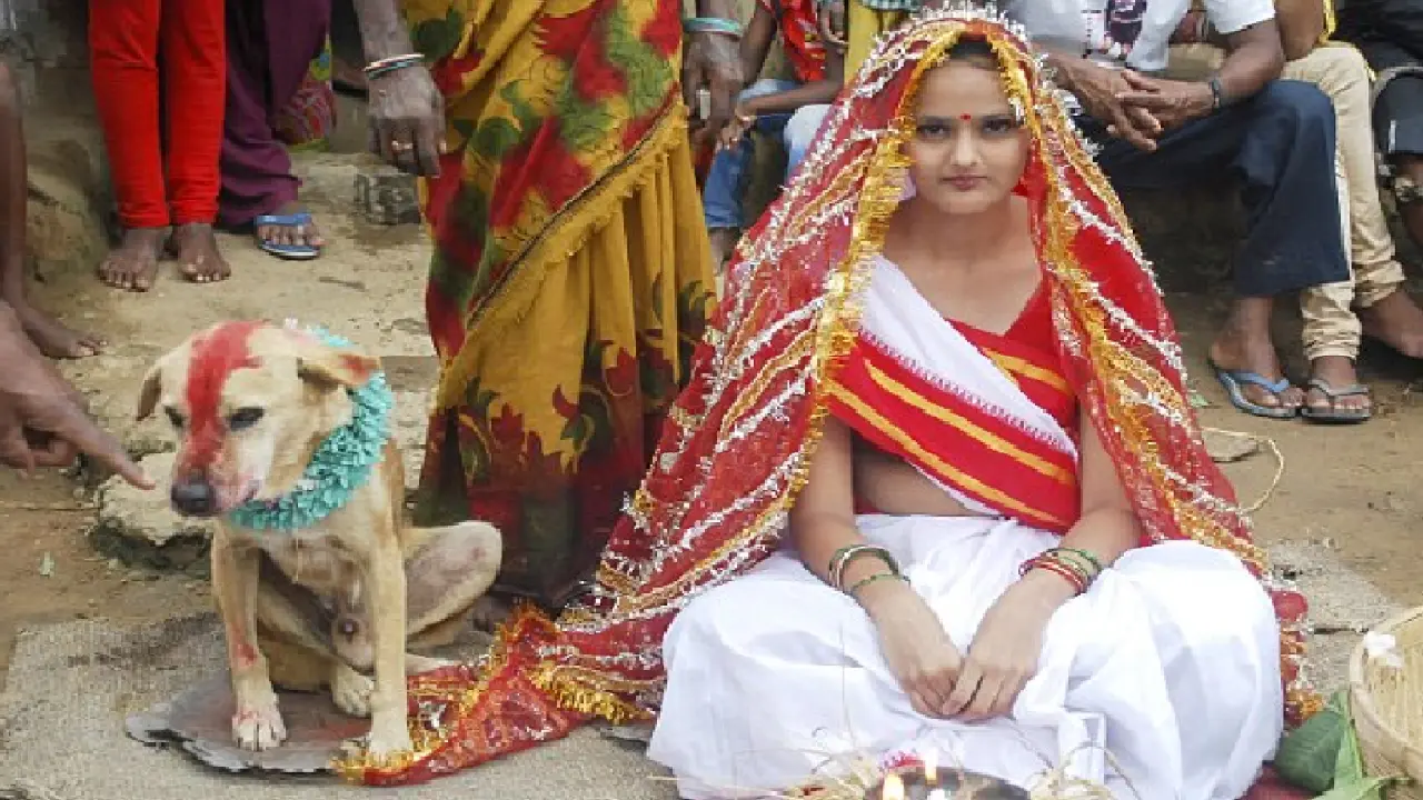 Tangkal Roh Jahat, Gadis India Nikahi Anjing