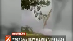 Angin puting yang berhembus selama hampir 5 menit ini memporak porandakan tiga desa di Kecamatan Gending, yakni Desa Pesisir, Bulang, dan Brumbung Lor.