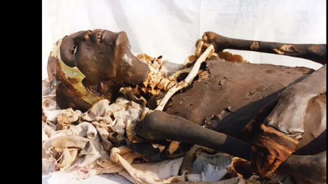 (c)mummiesexhibition.co.uk 