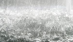 ilustrasi hujan deras. (Pixabay)