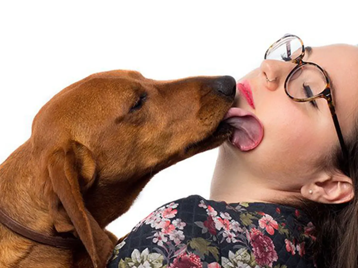 Terungkap, Anjing Bisa Baca Suasana Hati Manusia Lewat Raut Muka - Health  Liputan6.com