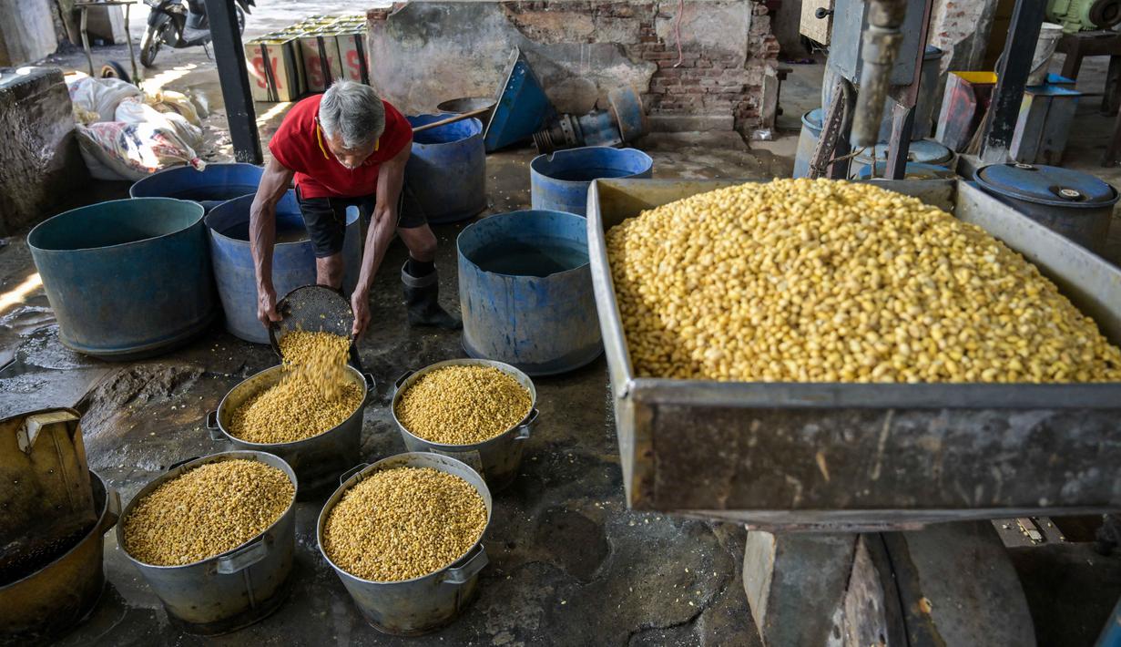 Lonjakan harga bahan baku pembuatan tahu ini berdampak langsung pada biaya produksi dan keuntungan para perajin. Tampak dalam foto, seorang pekerja menyiapkan kedelai di pabrik tahu, Surabaya, Jawa Timur pada Kamis 5 Februari 2026. (JUNI KRISWANTO/AFP)