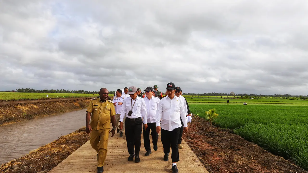 Menteri Pertanian, Andi Amran Sulaiman mengunjungi lokasi pengembangan varietas unggul padi Cakrabuana Agritan di Distrik Kurik, Kabupaten Merauke. (Dok Kementan)