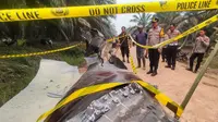 Puing Roket China Jatuh di Kebun Sawit Kalimantan