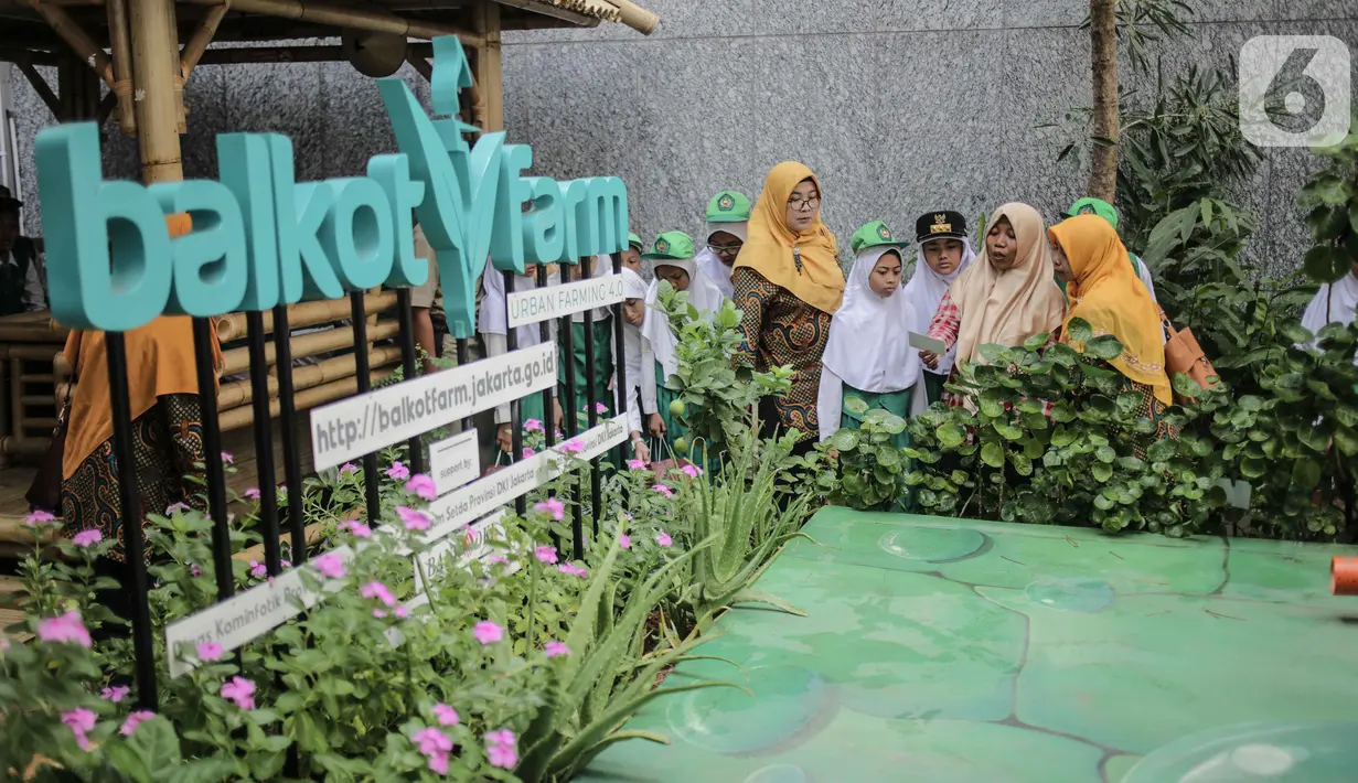Petugas memberikan penjelasan bercocok tanam metode hidroponik ke anak-anak SD Laboratorium Jakarta di Balaikota Farm, Jakarta (15/10/2019). Kegiatan ini untuk memberikan pengetahuan dan pengalaman sejak dini cara bercocok tanam di lahan yang sempit di perkotaan.  (Liputan6.com/Faizal Fanani)