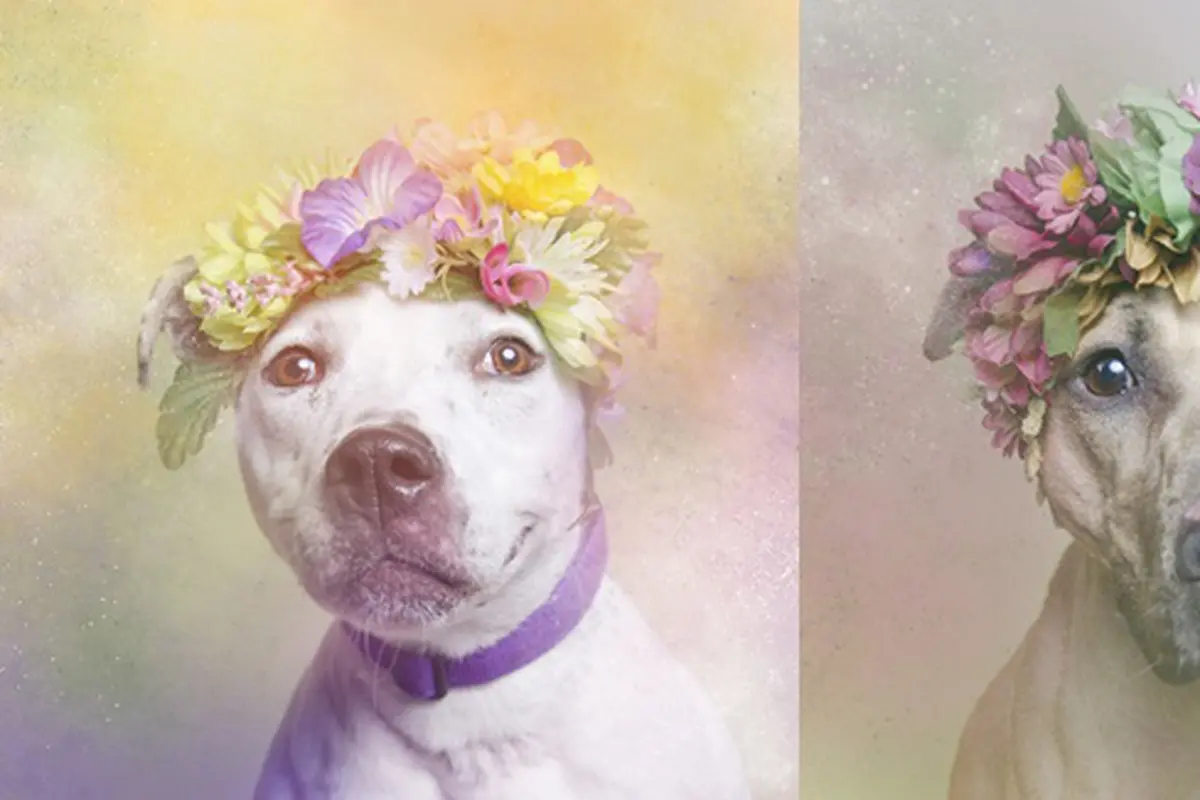 Foto: copyright elitedaily.com