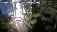 Pria Ini Sengaja Melepas Ular Kobra di SPBU (NDTV)