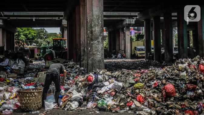 Pemulung memilah sampah di kolong tol Wiyoto Wiyono, Jalan sungai Bambu Raya, Tanjung Priok, Jakarta, Selasa (5/11/2019). Tumpukan sampah hingga menutupi badan jalan di Sungai Bambu Raya sempat viral di media sosial. (Liputan6.com/Faizal Fanani)
