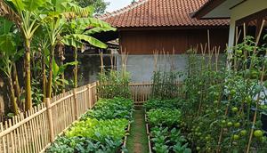 Tanaman Paling Produktif untuk Kebun Mini Rumahan/ Ilustrasi AI