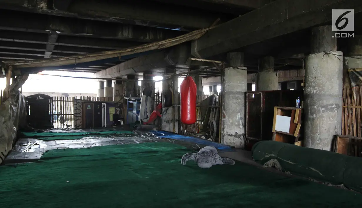 Suasana permukiman kolong Jalan Tol Pelabuhan, Papanggo, Tanjung Priok, Jakarta Utara, Senin (23/4). Mahalnya harga hunian di Ibu Kota membuat mereka tinggal di kawasan tersebut meski dengan kondisi lingkungan kumuh dan kotor. (Liputan6.com/Arya Manggala)
