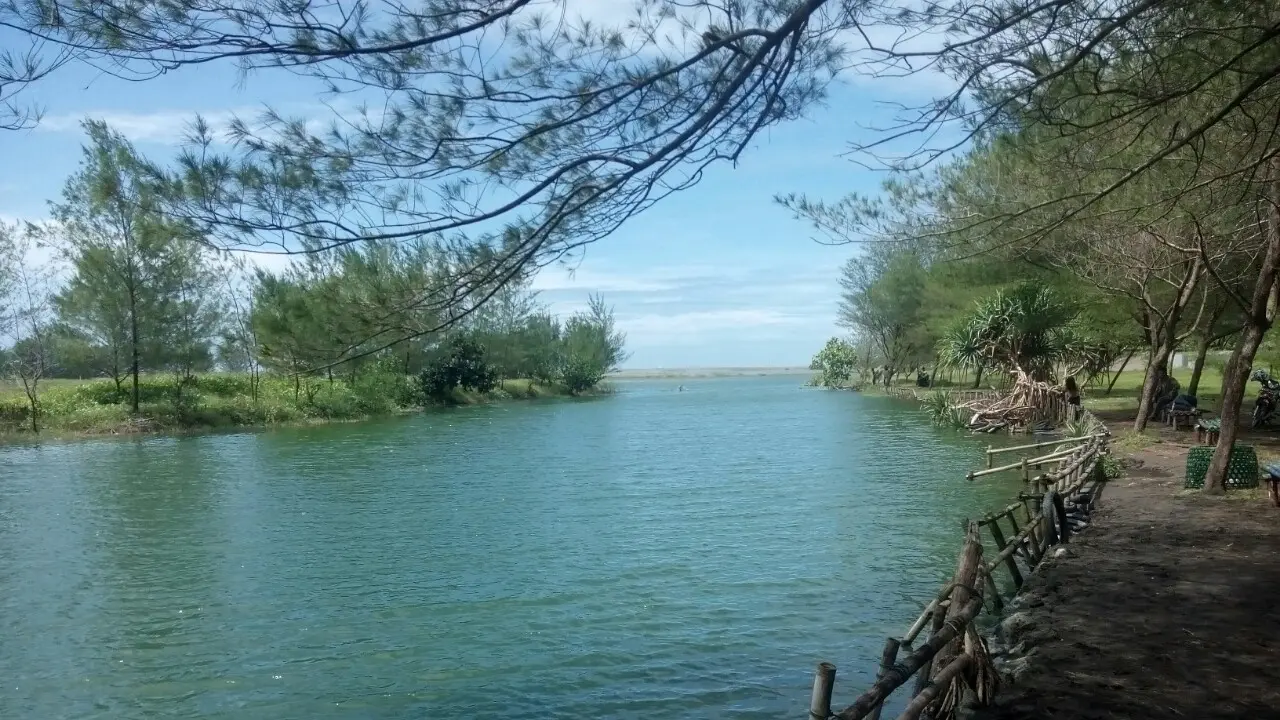 Laguna dan pohon cemara jadi sasaran selfie pengunjung Glagah
