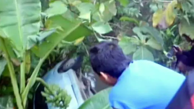 Kecelakaan di Banyumas, 6 Penumpang Terlempar