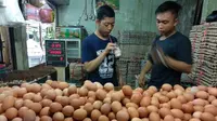 Pasokan Terjaga, Harga Telur Ayam Stabil