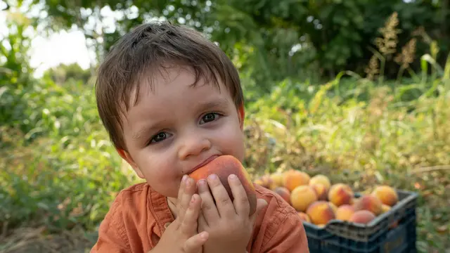 4. Bawa Camilan Sehat dan Favorit Si Kecil