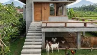 7 Model Rumah Aman dari Ternak, Utamakan Kebersihan dan Kenyamanan