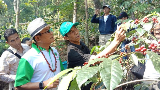 Moeldoko Panen Kopi di Gunung Puntang - Regional Liputan6.com