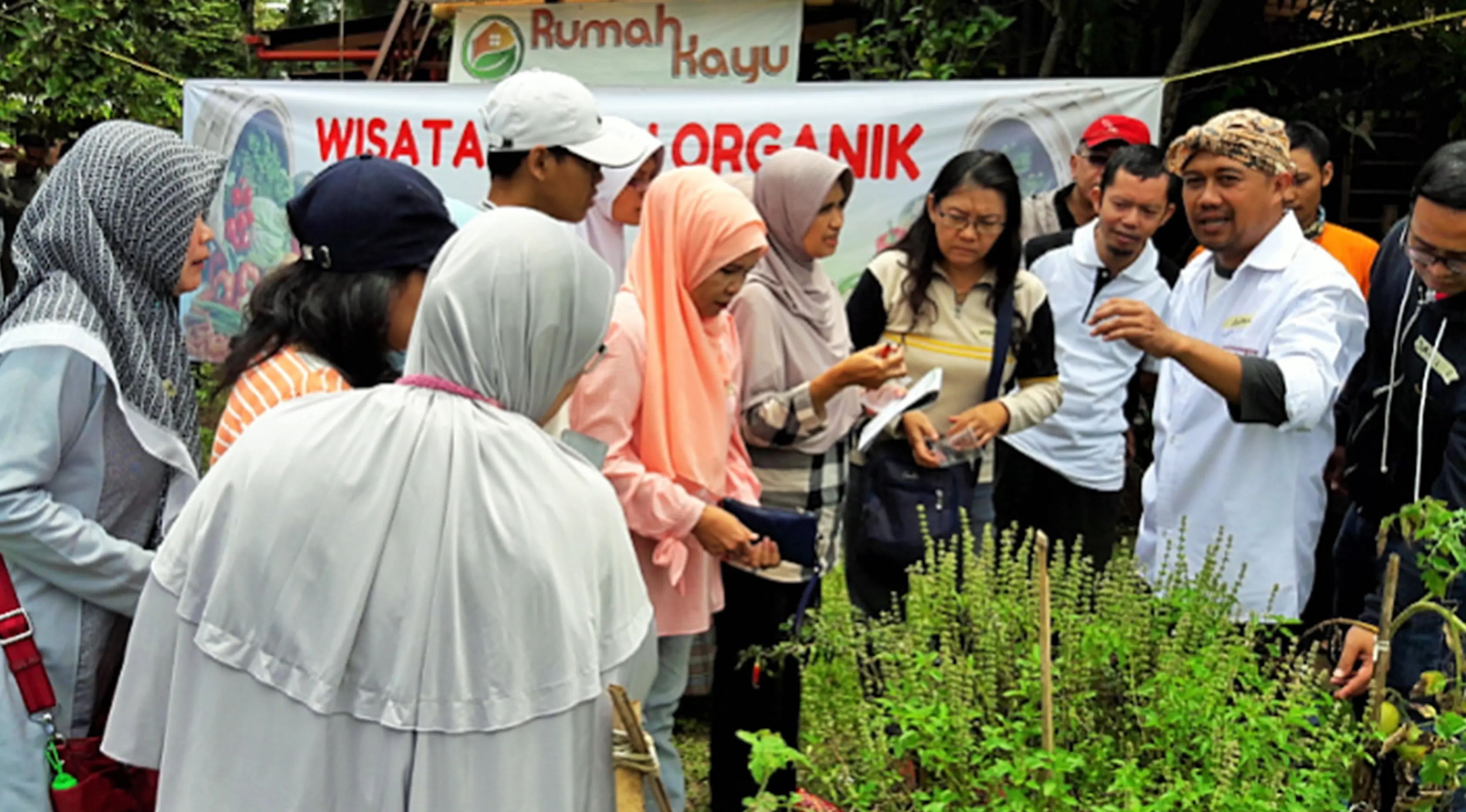 Wisata Kebun Organik