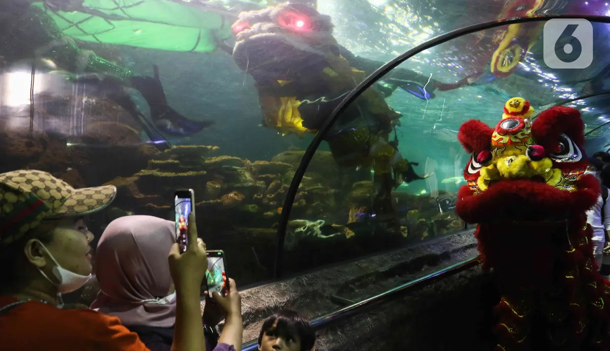 Pengunjung memfoto atraksi barongsai di akuarium Sea World Ancol, Jakarta, Rabu (18/1/2023). Pertunjukan barongsai bawah air tersebut merupakan rangkaian Ancol Lunar Fest 2023 dalam rangka menyambut Tahun Baru Imlek 2574 Kongzili. (Liputan6.com/Herman Zakharia)
